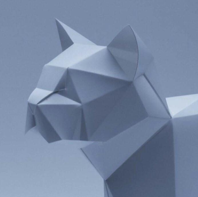 PLIZOO project image
