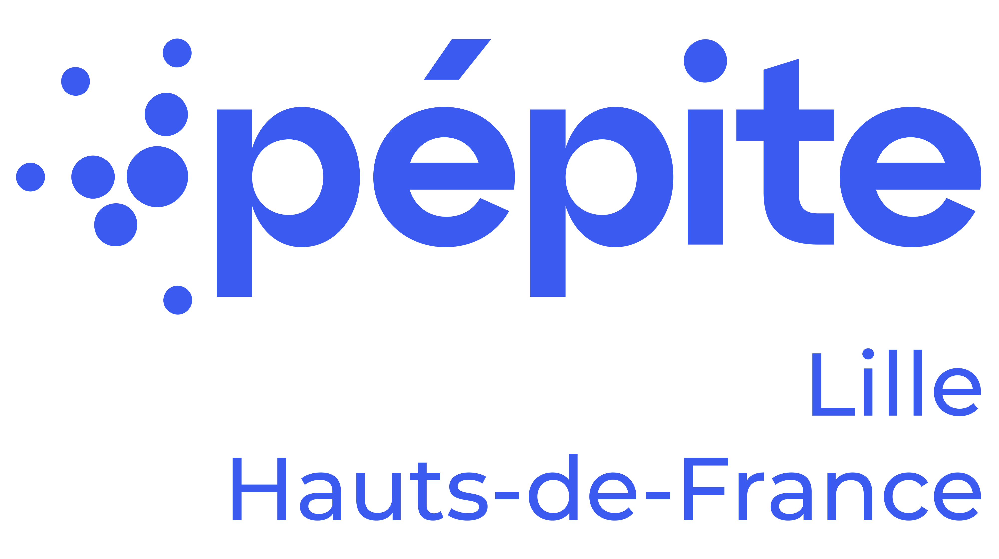 Pépite Lille Hauts de France project image