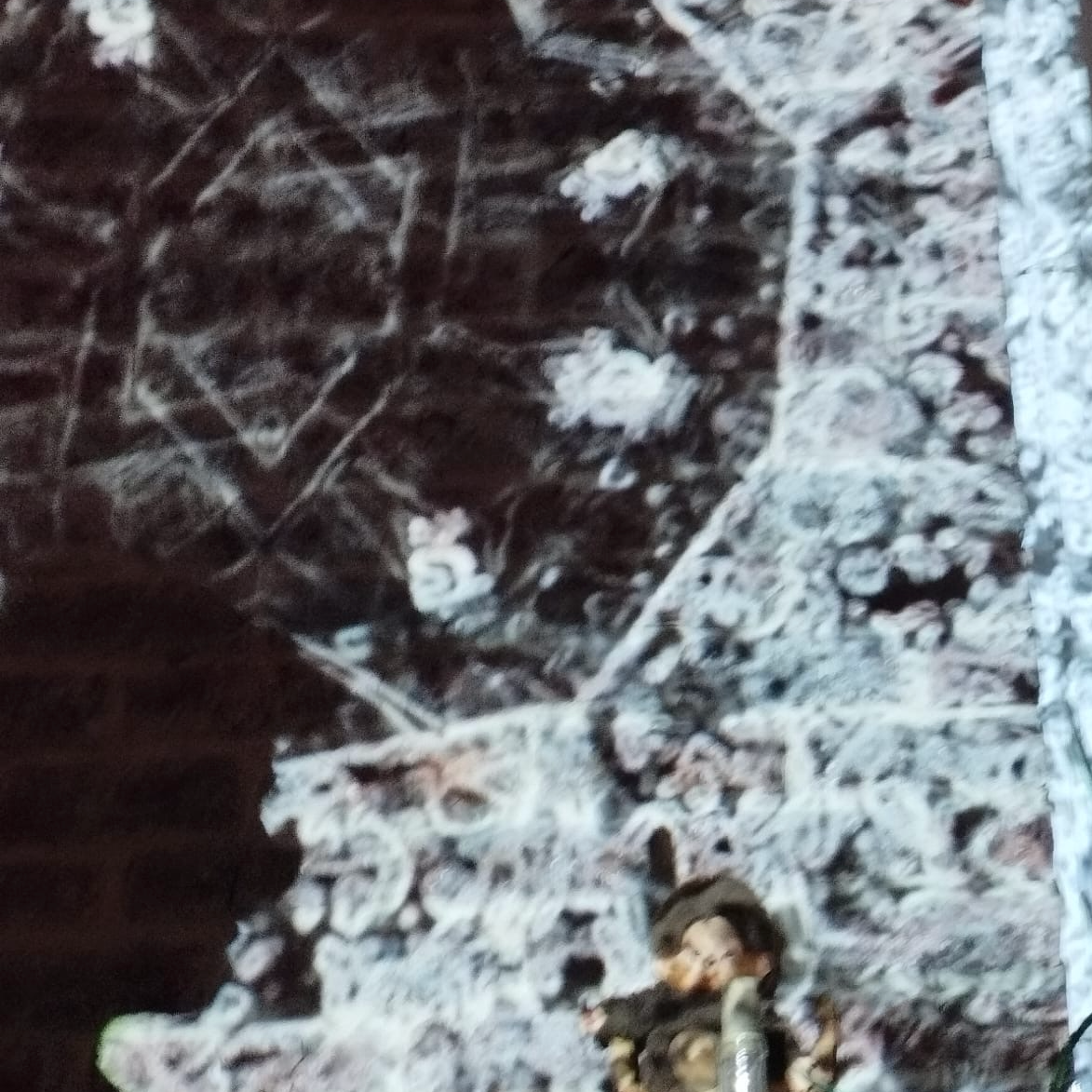 Rupert Renevier Maker Picture