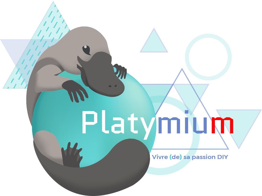 Platymium project image